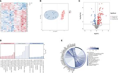 Novel potential biomarkers for severe alcoholic liver disease